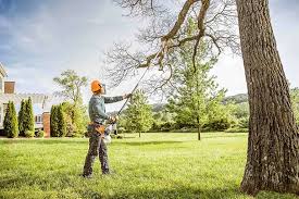 Best Tree Removal Services  in Lden, MA